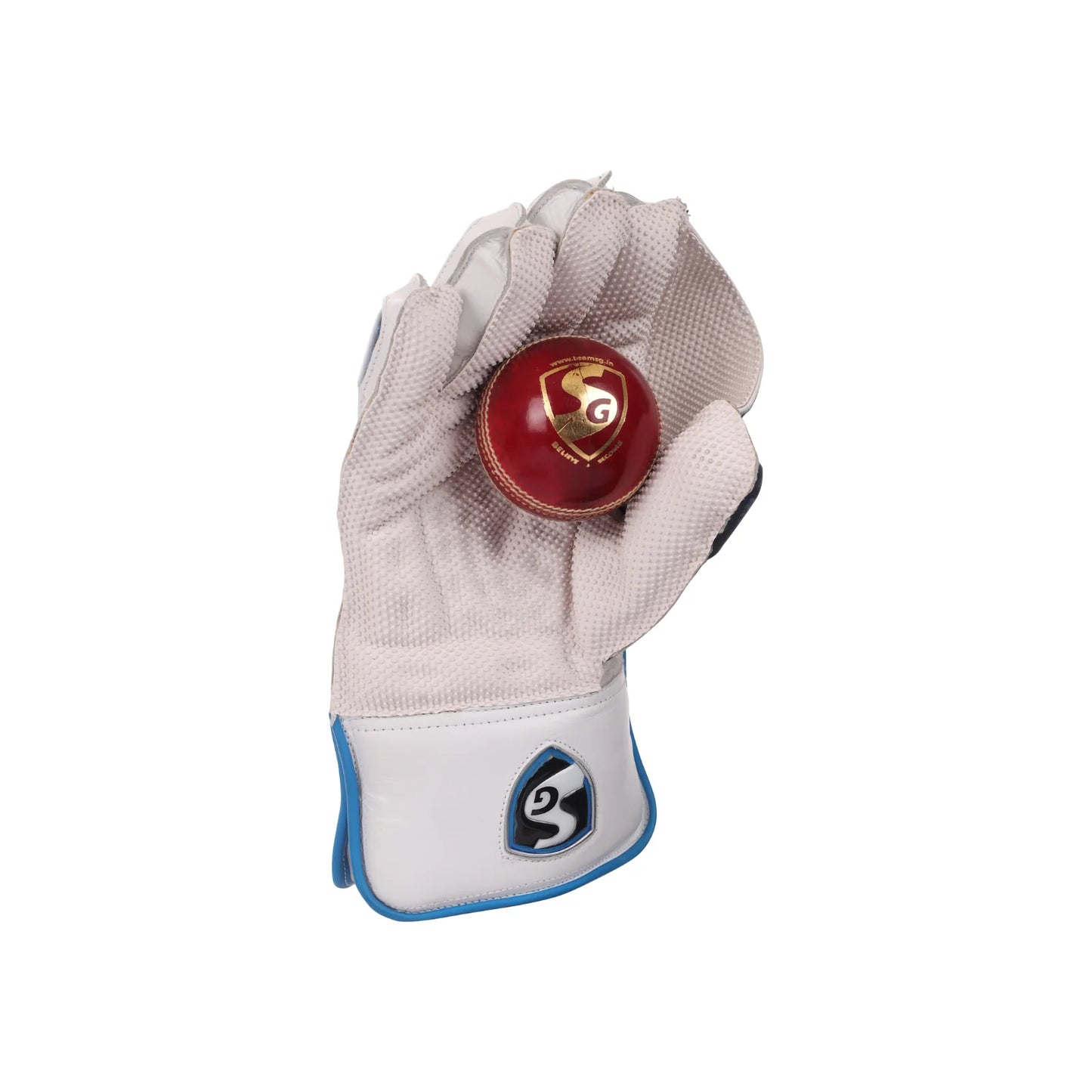 SG RSD Xtreme Wicket Keeping Gloves (Multi-Color) W.K. Gloves(2024)