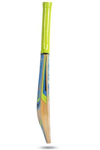 PROTOS BLASTER KASHMIR WILLOW CRICKET BAT (FULL SIZE)