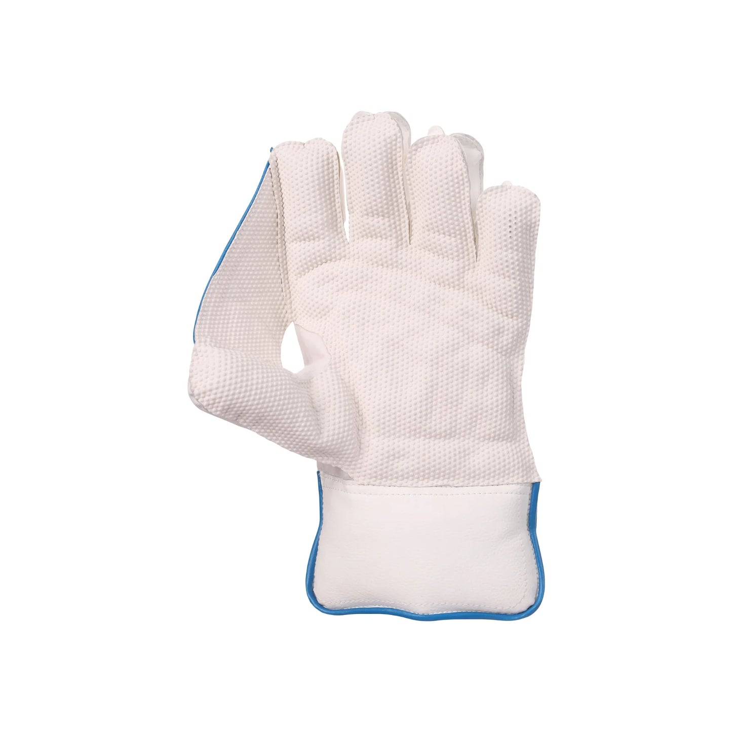 SG Tournament Wicket Keeping Gloves W.K. Gloves(2024)