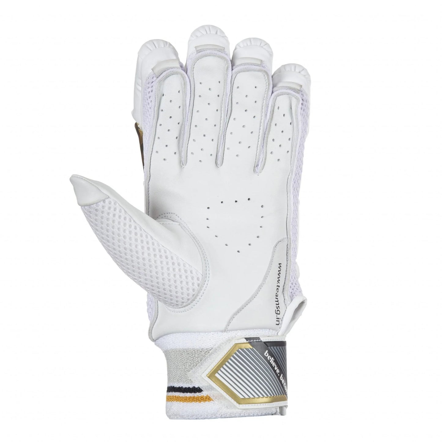 SG HP Lite Batting Gloves - Hardik Pandya Series(2024)