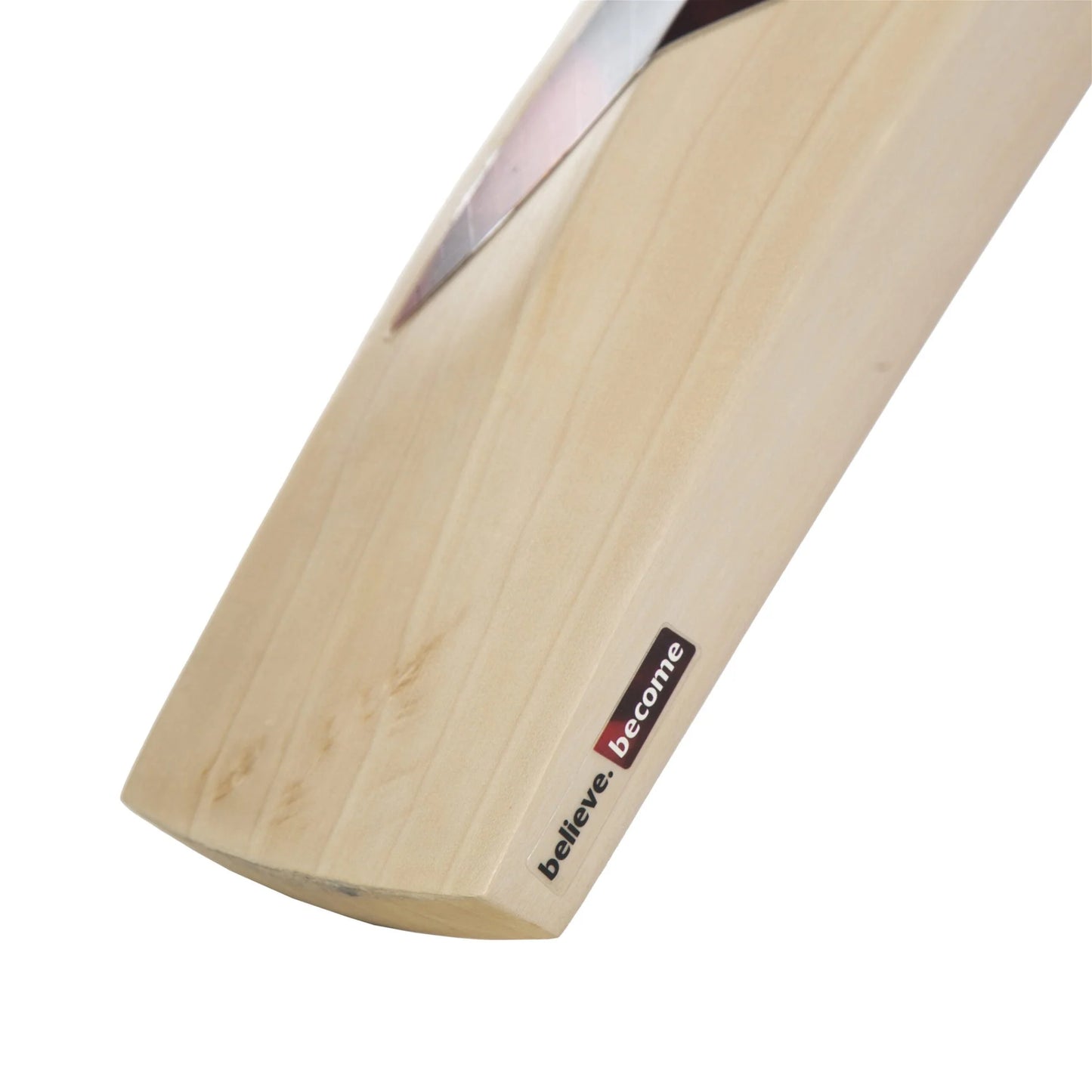 Cricket Bat SG SUNNY TONNY ICON(2024)