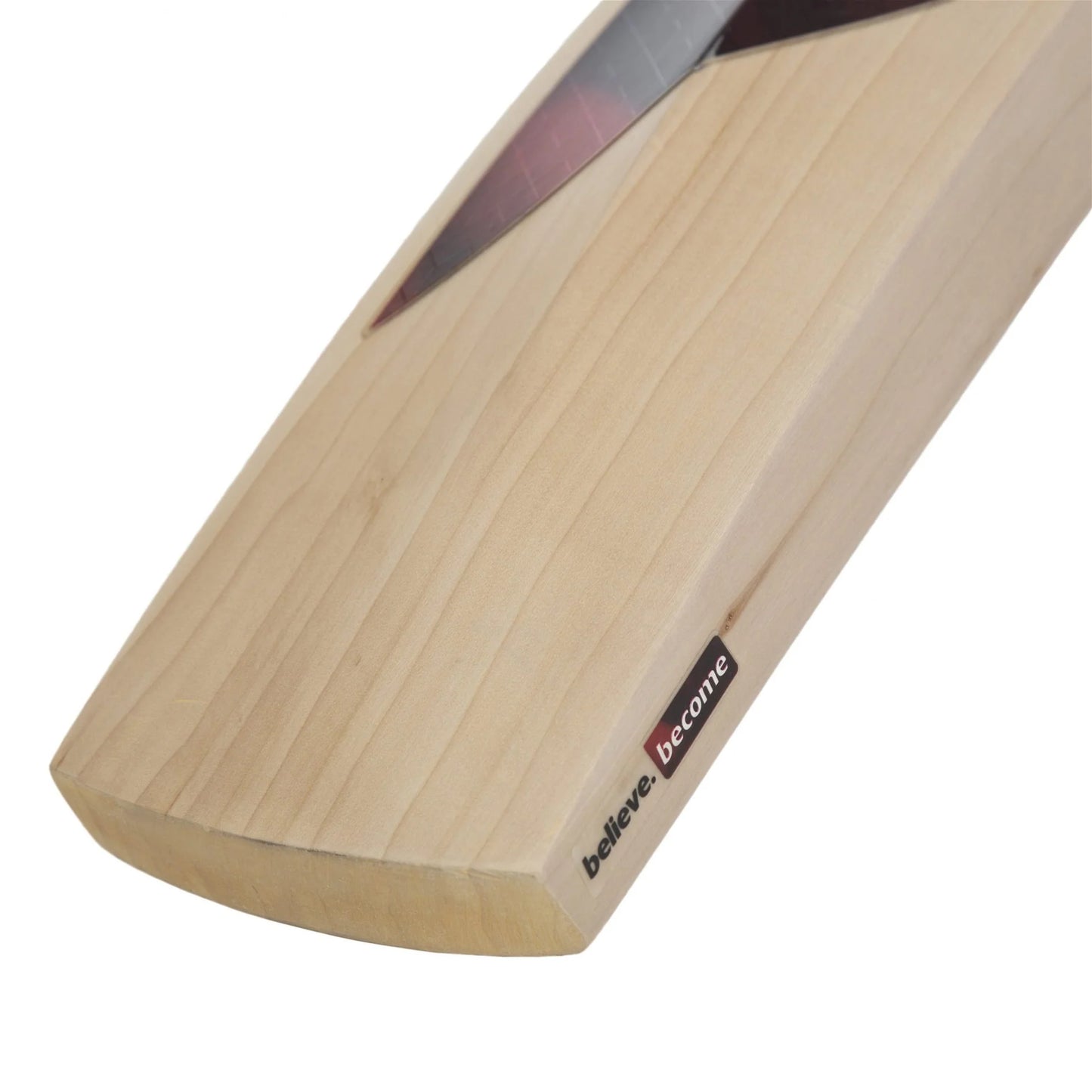 Cricket Bat SG SUNNY TONNY XTREME(2024)