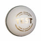 SG Test cricket Balls
