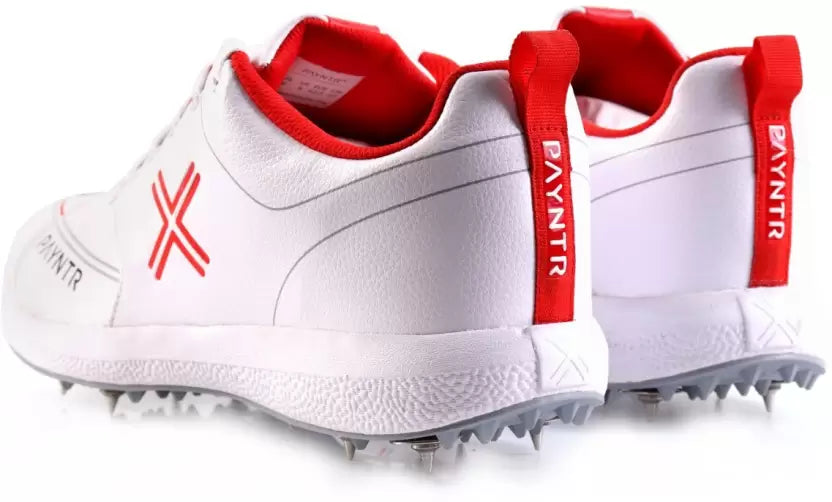 Seven glasslike cricket spikes