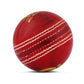 CA Super Test cricket Balls